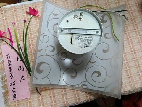 半圓形燈具 圖片 2