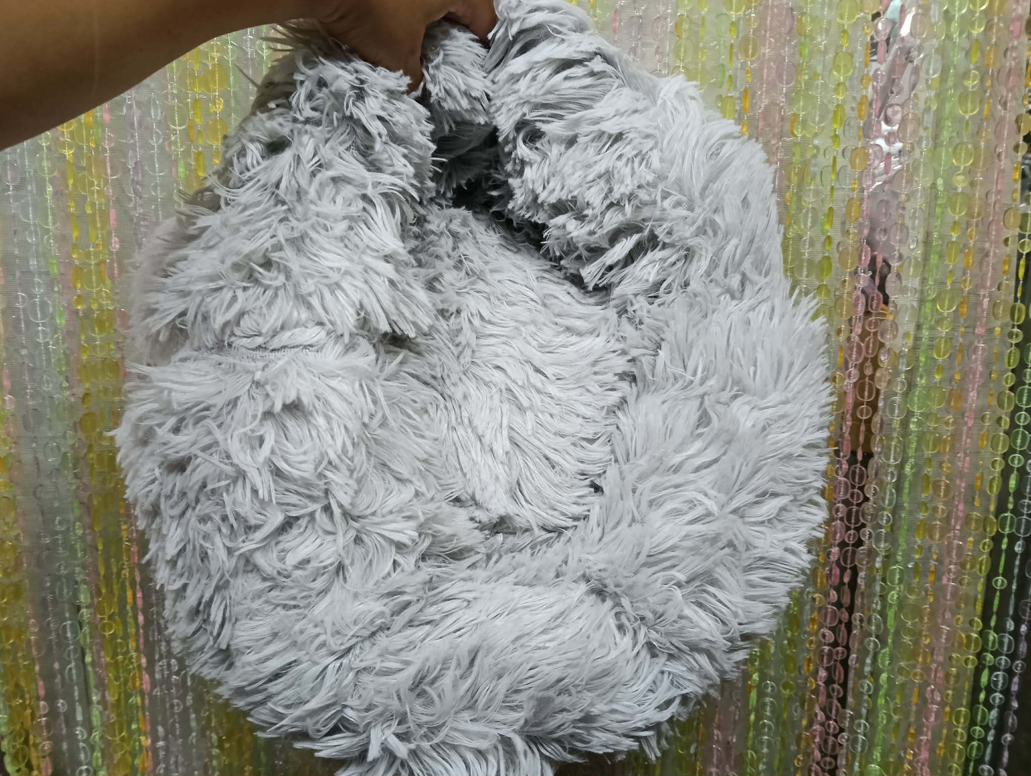 全新小寵小窩